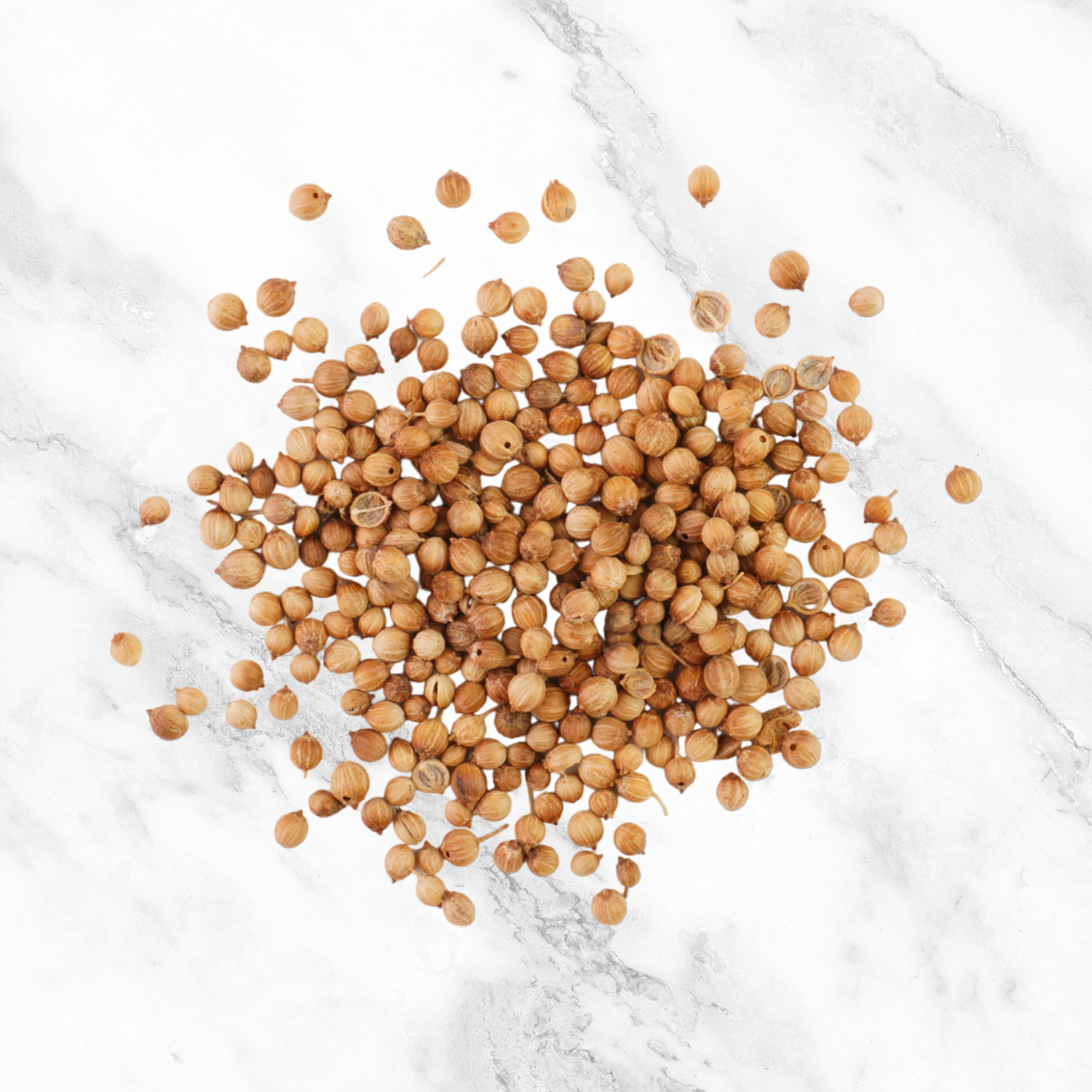Coriander Seeds