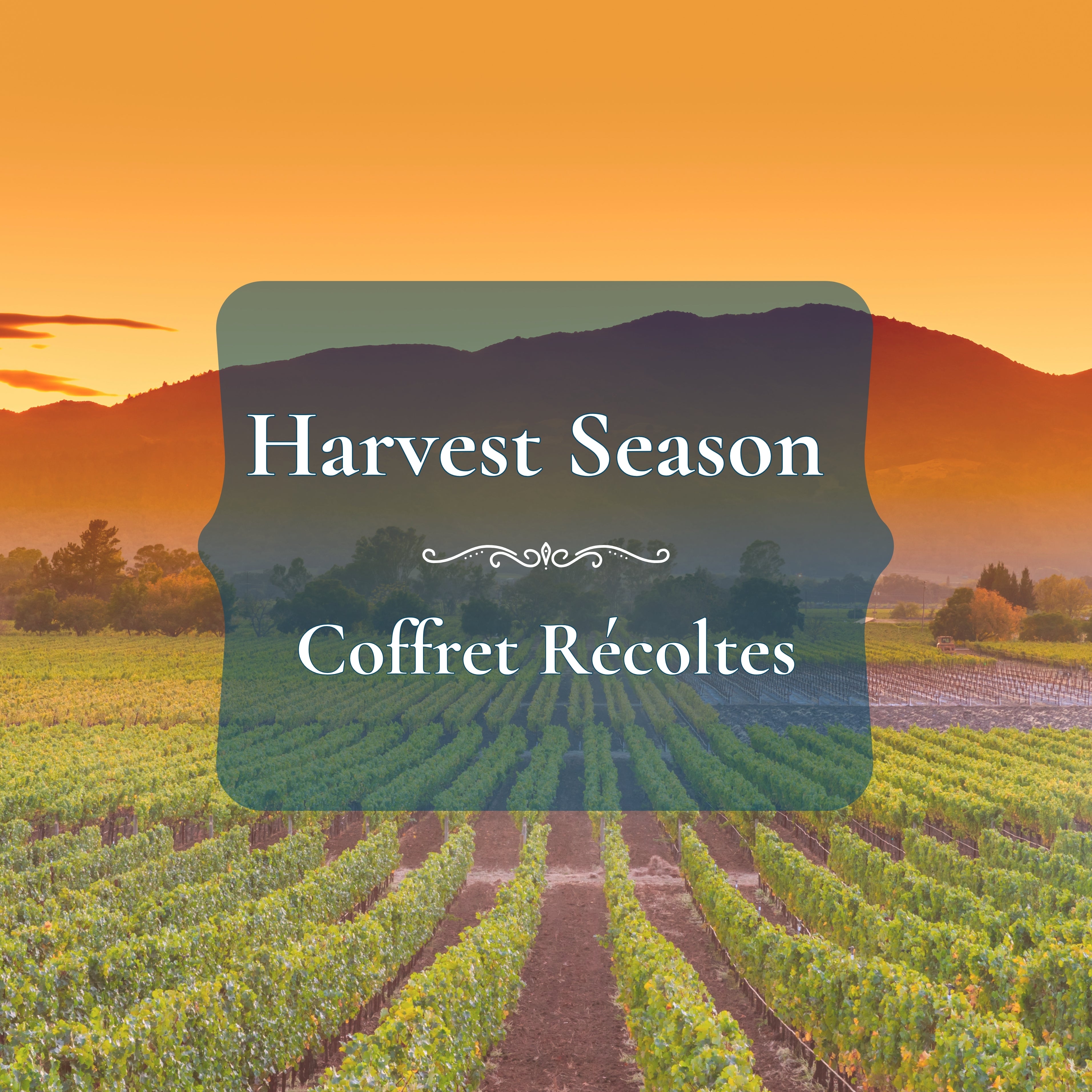 Harvest Season Box
