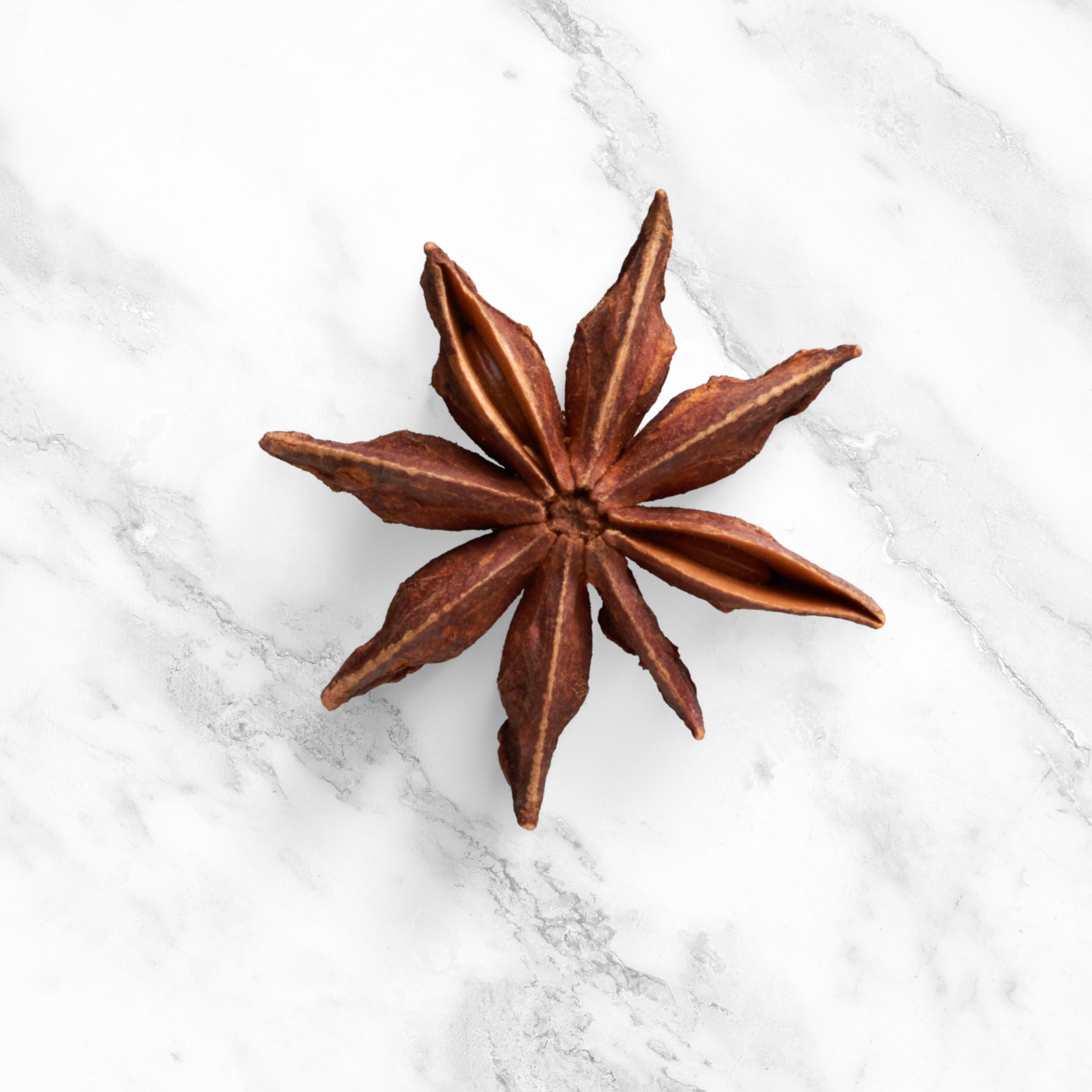 Star Anise