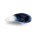 Maison Gabrielle Michael Aram Ocean Reef Oyster Jewel Nut Dish showing Blue Marbled Interior and Silver Textured Edges